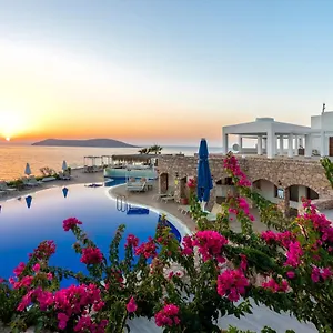 Aparthotel Vega Aparts ***